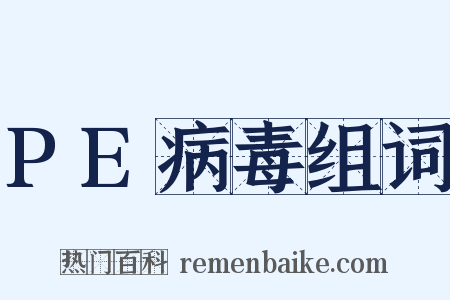 PE病毒组词是什么意思的图片